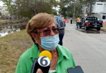 Piden colonos mayor protección para evitar salida de cocodrilos de las lagunas