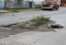 “Caído” muta en área verde