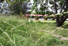 La mayoría de las escuelas no están en condiciones para regreso a clases presenciales: Jaime Olvera