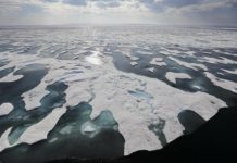 Hielo ártico se derrite dos veces más rápido de lo previsto: estudio