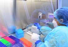 COVID-19 en Tamaulipas suma 115 nuevos casos, insiste Salud en proteger a los más vulnerables