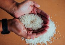 Una nueva vacuna ‘comestible’ contra el cólera elaborada a base de arroz molido completa con éxito la fase 1 de los ensayos clínicos en humanos