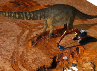 Descubren los restos del dinosaurio más grande de Australia y uno de los de mayor tamaño del mundo