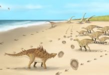 Descubren las huellas de los últimos dinosaurios que caminaron por Reino Unido hace 110 millones de años