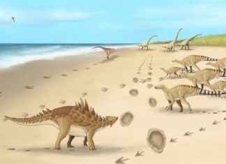 Descubren las huellas de los últimos dinosaurios que caminaron por Reino Unido hace 110 millones de años