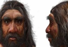 Hombre Dragón, nueva especie humana es ¿nuestro antepasado más cercano?