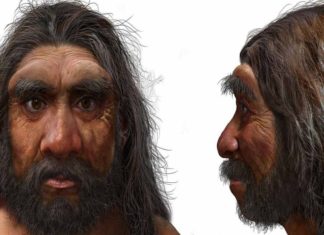 Hombre Dragón, nueva especie humana es ¿nuestro antepasado más cercano?