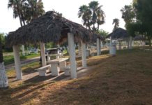 Desarrolla Municipio labor de mantenimiento en La Playita