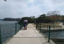 Reforzarán seguridad en laguna del Carpintero