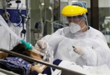 ¿Por qué pacientes de COVID pierden el olfato? Esto dicen los expertos