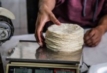 Profeco no impide alza en tortilla