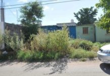 Terrenos abandonados son un peligro social y de salud