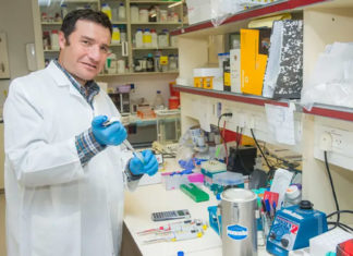 Científicos logran retrasar el envejecimiento en ratones y esperan que el método pueda funcionar en humanos