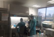 Pandemia de COVID-19 registra 114 nuevos casos en Tamaulipas, pide Salud extremar cuidados