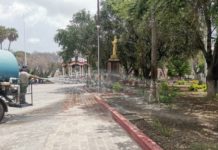 Siembran pasto en las áreas verdes de la plaza principal de Matamoros