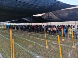 Sin filas de personas este jueves la sede de vacunación Ciudad Industrial