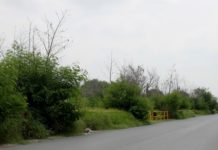 Maleza de área de Pemex invade vialidad