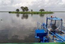 Invertirán 100 millones en sistema lagunario del sur