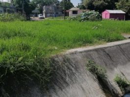 Vecinos capturan cocodrilo en colonia Lomas de Monte Alto