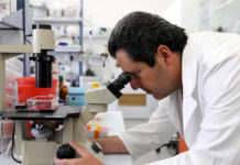 Nestlé pretende ampliar su abanico de productos con carne cultivada en laboratorio a base de células animales