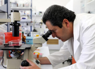 Nestlé pretende ampliar su abanico de productos con carne cultivada en laboratorio a base de células animales
