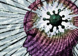 Coronavirus: qué es el cerebro pandémico y cómo nos afecta en el día a día