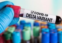 COVID-19; ya circula la variante Delta en Tamaulipas