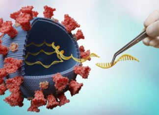 Delta: las 5 mutaciones que hacen a esta variante del coronavirus más contagiosa y preocupante