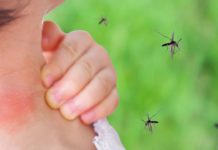 Registra Tamaulipas más de 800 casos sospechosos de dengue