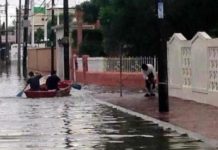 Dengue “perdona” a Tamaulipas, pese a inundaciones solo van 10 casos