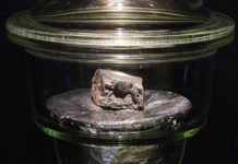 Un estudio revela que un raro meteorito podría contener secretos del origen de la vida en la Tierra