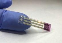 Desarrollan la primera prueba de saliva para medir los niveles de glucosa en pacientes diabéticos