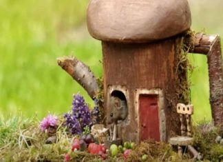 Fotógrafo descubre a familia de ratones en su jardín y les construye casitas de hobbits