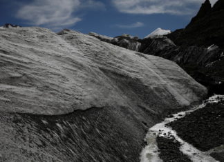 Descubren virus de 15.000 años de antigüedad en glaciares tibetanos