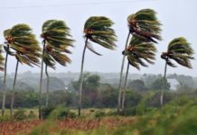 “Grace” traerá rachas intensas de viento a Tamaulipas