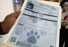 Tampico contará con el Primer Registro Animal en Línea