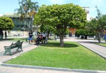 Descartan cierre de plazas y parques en Tampico