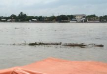 Autoridades siguen monitoreando nivel del río Pánuco