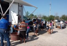Consiente Municipio a mascotas de la zona rural de Reynosa