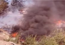 Bomberos sofocan pastizales en concurridos sectores populares