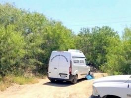 Hallan por enésima ocasión osamentas hacia el sur de la ciudad