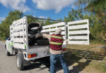 Camionetas para fumigación recolectan llantas tiradas en las calles