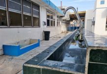 Certifica Coepris 22 escuelas privadas como “Seguras”