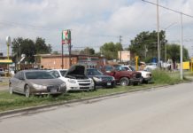 Invaden áreas verdes con autos