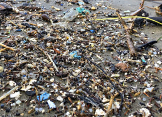 Revelan un efecto perturbador de los microplásticos en la salud humana