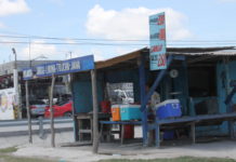 Alertan por consumo de mariscos
