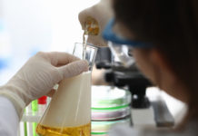 Químicos alemanes hallan en la cerveza más de 100.000 sustancias únicas, la mayoría desconocidas para la ciencia