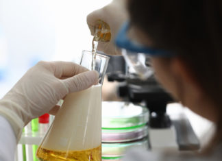 Químicos alemanes hallan en la cerveza más de 100.000 sustancias únicas, la mayoría desconocidas para la ciencia