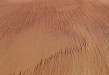 La corteza de Marte podría sustentar vida gracias a la radiación