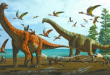Descubren en China dos nuevas especies de dinosaurio que habitaron la Tierra hace más de 120 millones de años